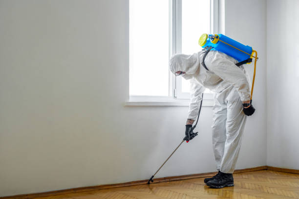 Best Termite Inspection and Treatment  in Maple Grove, MN